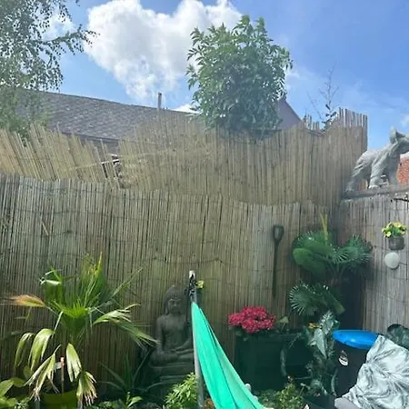 Jungle Magic Near Atomium , Heyzel Stadium *