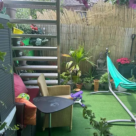 Jungle Magic Near Atomium , Heyzel Stadium * Strombeek-Bever